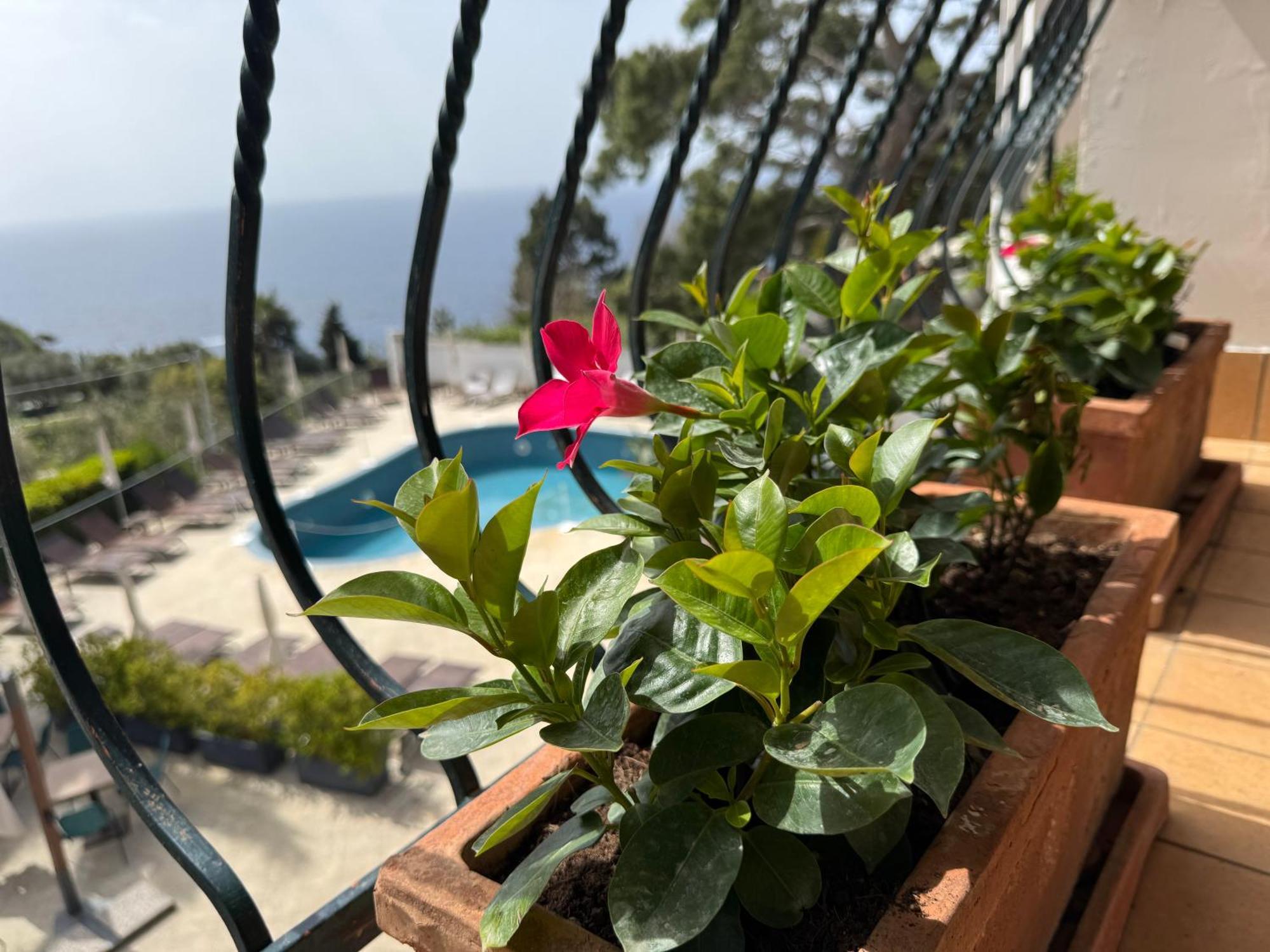 Hotel Della Piccola Marina Capri Esterno foto